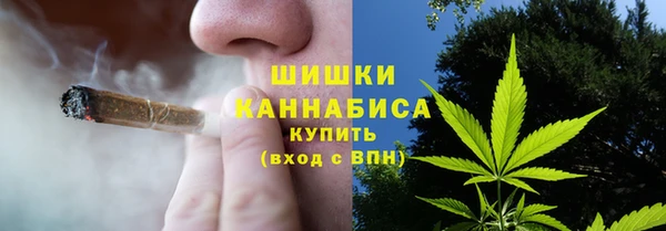 спиды Новозыбков