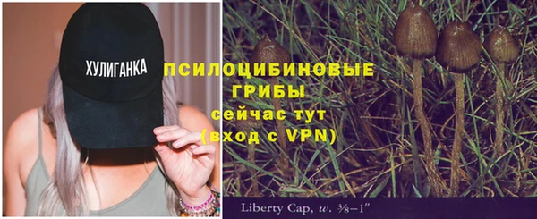 твердый Баксан
